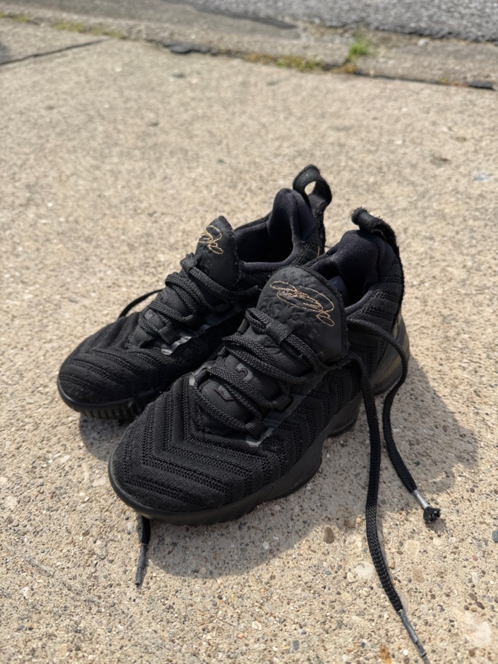 Nike LeBron 16 "I'm King" basketball shoes